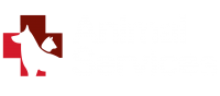 LOGO 2021 variante